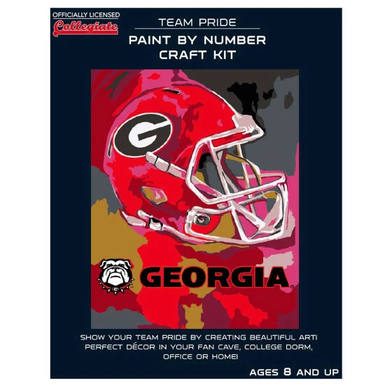 Sporticulture Georgia Paint By Numbers Art